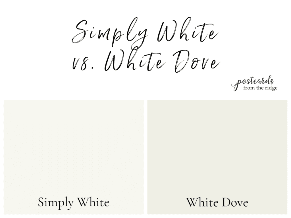 简单的白色vs白鸽